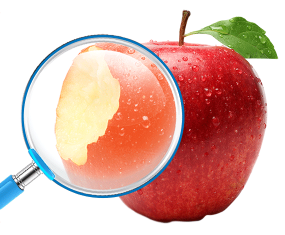 Аудит бізнес-процесів