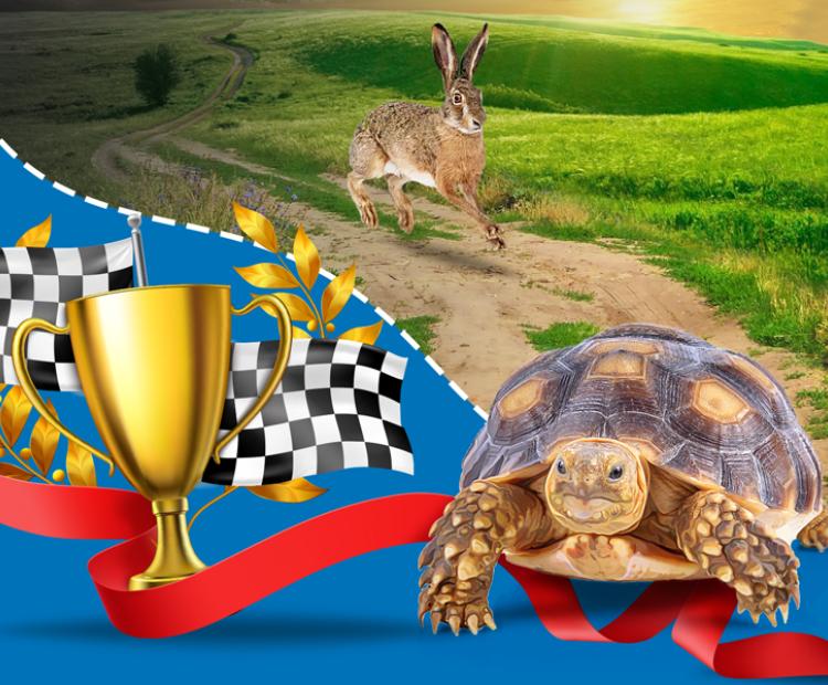 Бизнес-процессы: дорогу осилит идущий