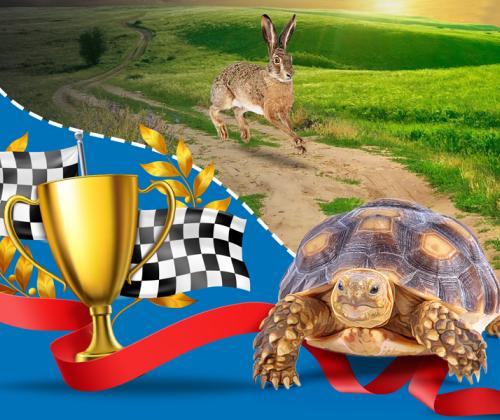 Бизнес-процессы: дорогу осилит идущий